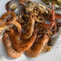 фото из отзыва ID 2742781