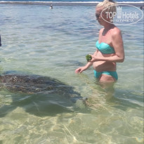 фото из отзыва ID 2742791