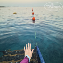 фото из отзыва ID 2742800