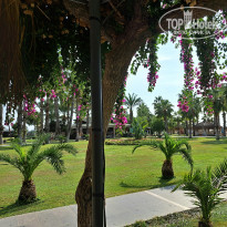 фото из отзыва ID 2742804