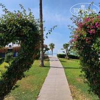 фото из отзыва ID 2742804