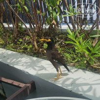 фото из отзыва ID 2742809