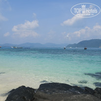 фото из отзыва ID 2742809