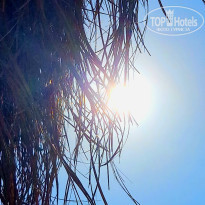 фото из отзыва ID 2742817