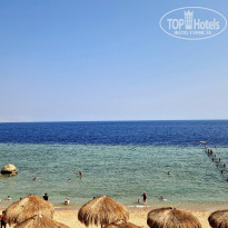 фото из отзыва ID 2742817