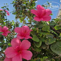 фото из отзыва ID 2742817