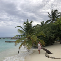 фото из отзыва ID 2742828