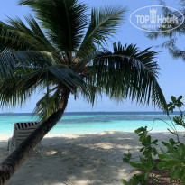 фото из отзыва ID 2742828