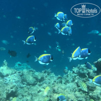 фото из отзыва ID 2742828