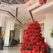 фото из отзыва ID 2742868