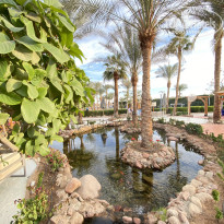 фото из отзыва ID 2742868