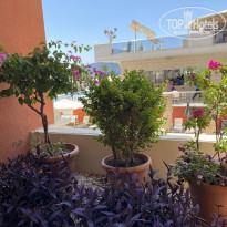 фото из отзыва ID 2742868