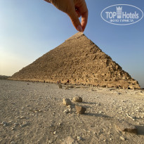 фото из отзыва ID 2742868