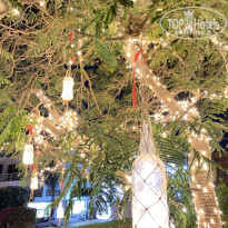 фото из отзыва ID 2742868