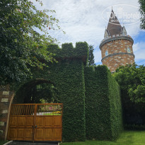 фото из отзыва ID 2742883