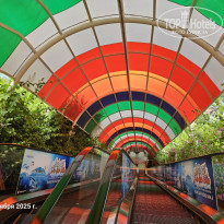 фото из отзыва ID 2742883