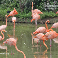 фото из отзыва ID 2742883