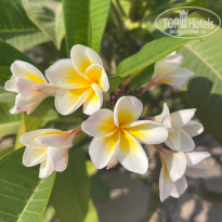 фото из отзыва ID 2742886