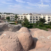 фото из отзыва ID 2742886