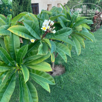 фото из отзыва ID 2742886