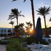 фото из отзыва ID 2742891