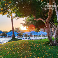 фото из отзыва ID 2742891