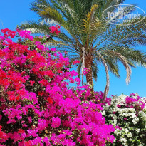 фото из отзыва ID 2742891