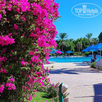 фото из отзыва ID 2742891