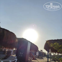 фото из отзыва ID 2742915