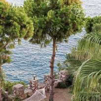 фото из отзыва ID 2742934