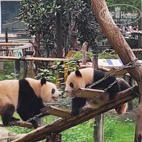 фото из отзыва ID 2742945