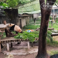 фото из отзыва ID 2742945