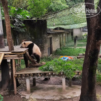 фото из отзыва ID 2742945