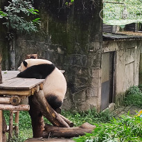 фото из отзыва ID 2742945