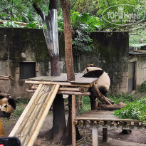 фото из отзыва ID 2742945