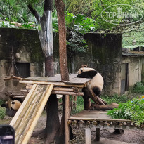 фото из отзыва ID 2742945