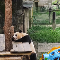 фото из отзыва ID 2742945