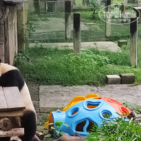 фото из отзыва ID 2742945