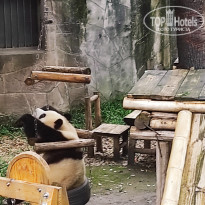 фото из отзыва ID 2742945