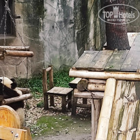 фото из отзыва ID 2742945