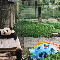 фото из отзыва ID 2742945