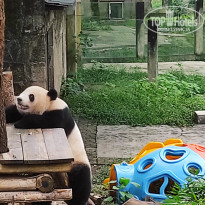 фото из отзыва ID 2742945