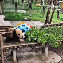 фото из отзыва ID 2742945