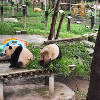 фото из отзыва ID 2742945