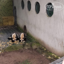 фото из отзыва ID 2742945