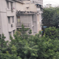 фото из отзыва ID 2742945