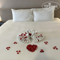 фото из отзыва ID 2742948