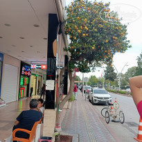 фото из отзыва ID 2742904