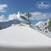 фото из отзыва ID 2742904