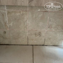 фото из отзыва ID 2742958